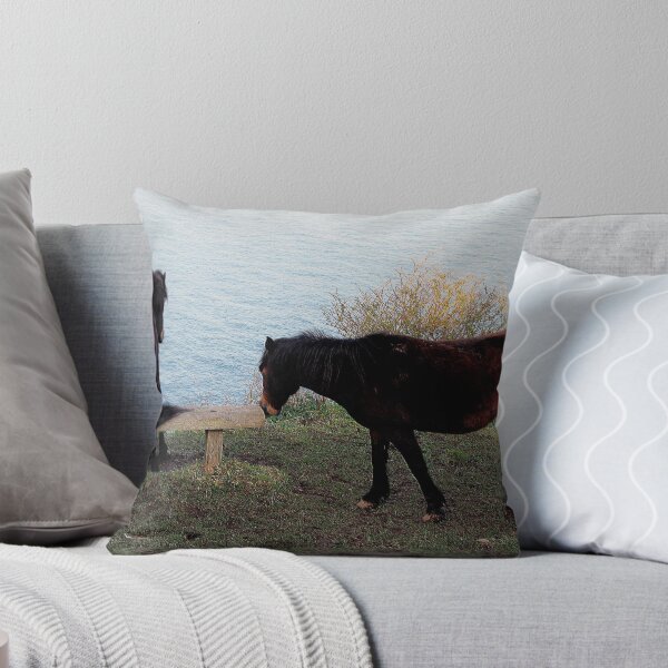 Artikelvorschau,  Two Dartmoor Ponies At Bench On Remote Coast Path In South Devon. entworfen und verkauft von richard wolfe.