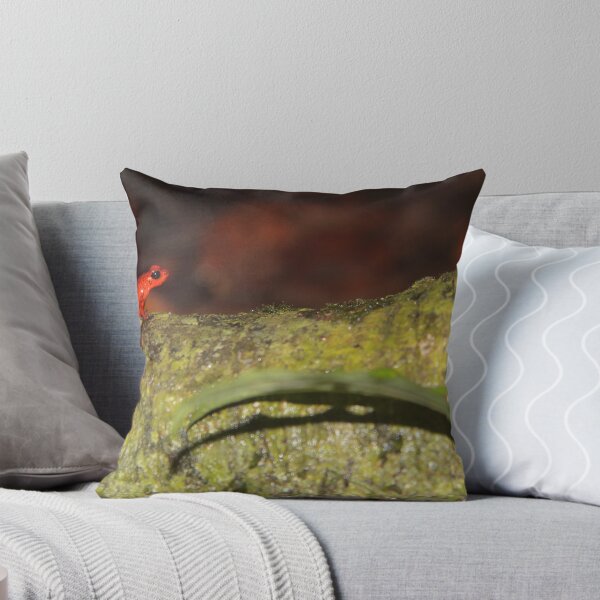 Item preview, Strawberry Poison Dart Frog designed and sold by SparrowImages.