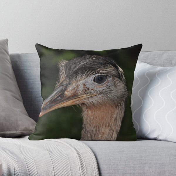 Rhea Throw Pillow