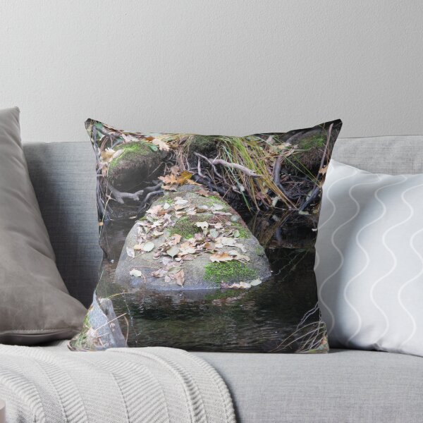 Item preview, Leaf Covered Rock designed and sold by Chris Gudger.
