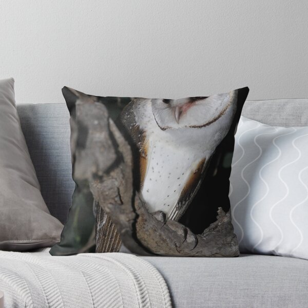 Item preview, Barn Owl. designed and sold by RayWalker.