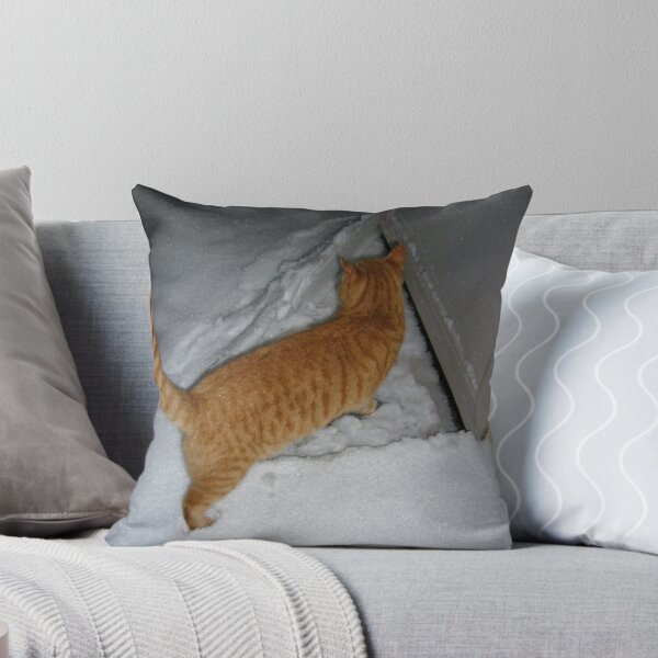 Item preview, "Let Me In" designed and sold by Frankie Cat Photography.