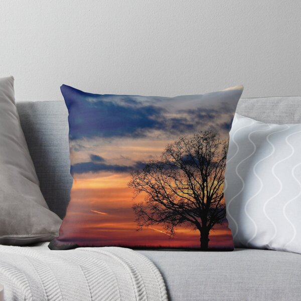 Item preview, Hector, AR Sunset designed and sold by DonCondley.