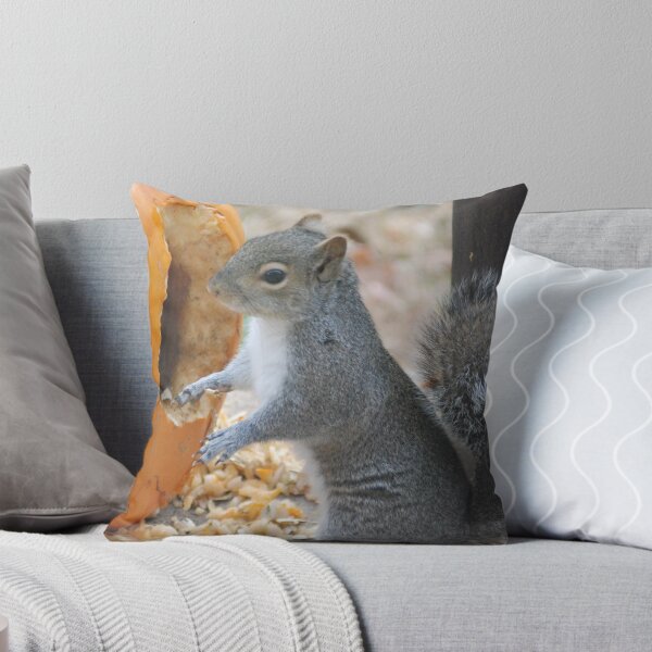 Item preview, Squirrel and Pumpkin designed and sold by Mark McReynolds.