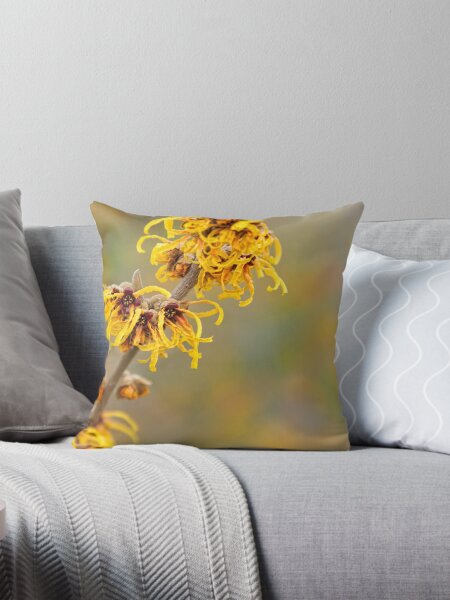 Winter's Flowers - Witch Hazel Throw Pillow