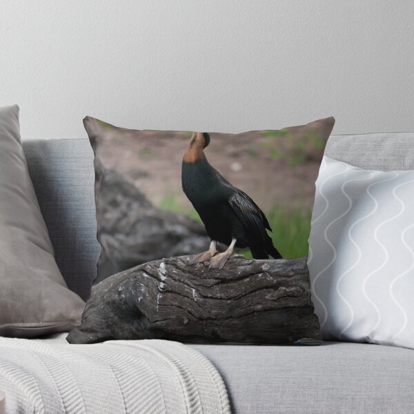 Item preview, Darter( snake bird)-Anhinga (melanogaster) rufa designed and sold by LG2001.