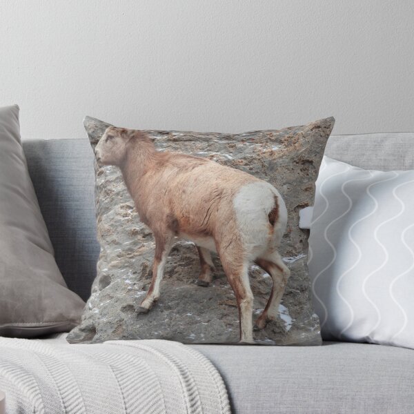 Item preview, Ovis canadensis II designed and sold by zumi.