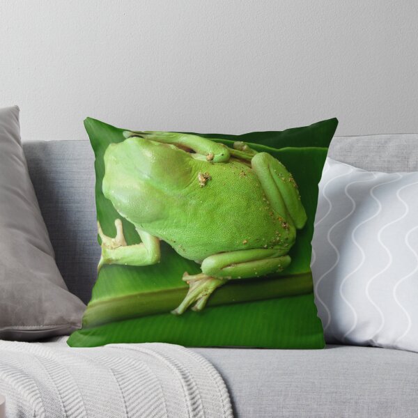 Item preview, Clinging On designed and sold by FrogGirl.