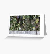 Two Silvereye Greeting Card