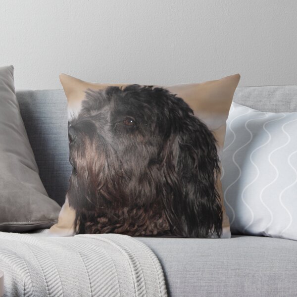 Hailey Throw Pillow