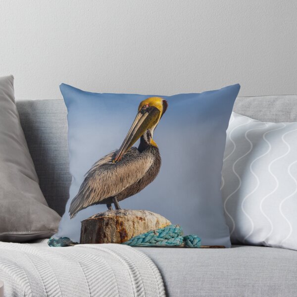 Item preview, Birds of a feather: Pelican Portrait designed and sold by alan shapiro.