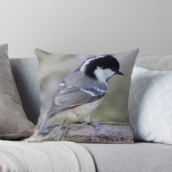 Artikelvorschau, Coal Tit entworfen und verkauft von webbo.