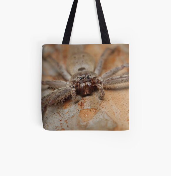 Brown Huntsman - Heteropoda sp. All Over Print Tote Bag