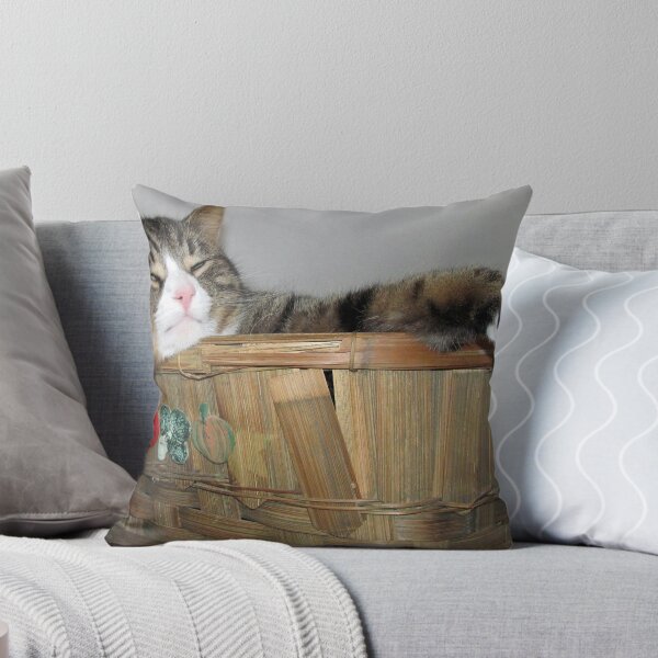 Item preview, Just Rockin My Basket designed and sold by nikspix.