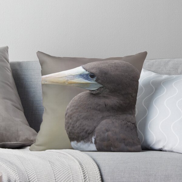 Item preview, Brown Booby designed and sold by sketchpoet.