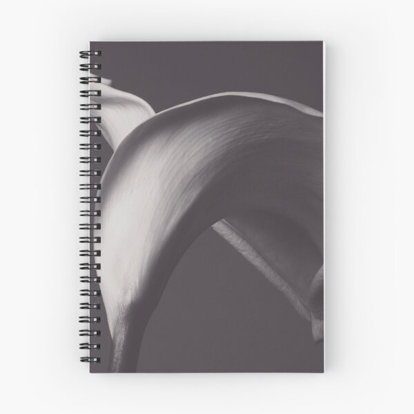 Item preview, Classic calla lily photo, fine art, flowers photography, flower still life, wall decor, Robert Mapplethorpe style designed and sold by Spallutos.
