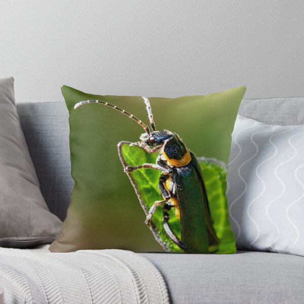 Item preview, Soldier Beetle. designed and sold by trevorb.