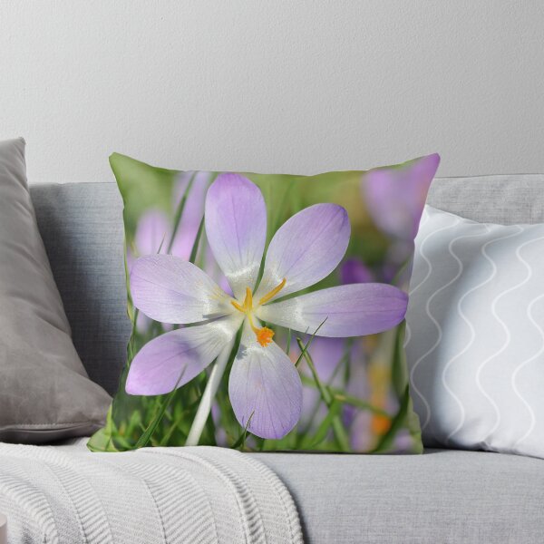 Item preview, Sun Seeker designed and sold by relayer51.