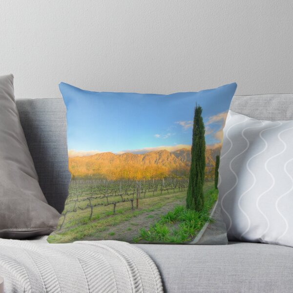 Item preview, Franschhoek Vineyard, South Africa designed and sold by David  Phillips.