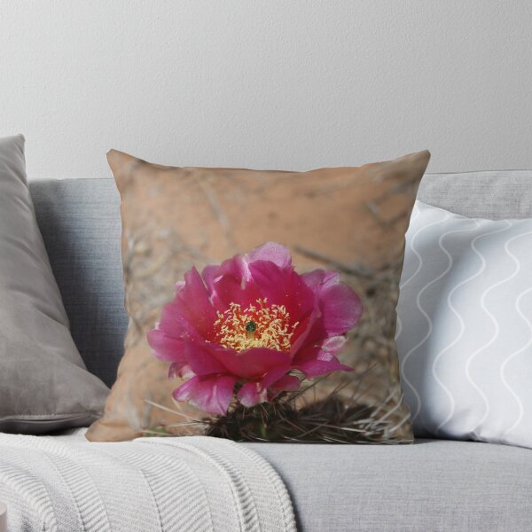Item preview, Cactus Flower designed and sold by Linga Reddy Anuga.