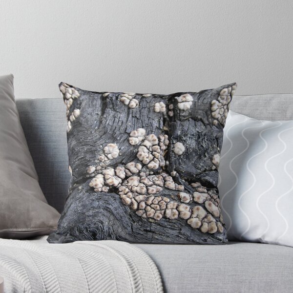 Item preview, Parchment Swirls designed and sold by Carla Wick/Jandelle Petters.