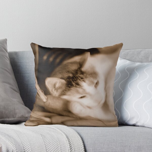 Item preview, Hugging Carrots Is Pretty Cool :) designed and sold by vbk70.