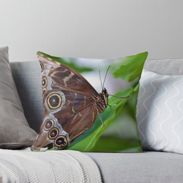 Item preview, Tattered designed and sold by PhotosByHealy.