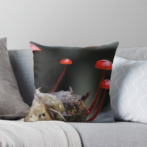 Item preview, Redome designed and sold by Joel Fourcard.