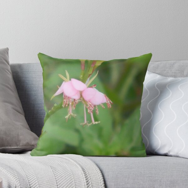 Item preview, Just Opening - Scarlet Gaura, Pink Stage designed and sold by Navigator.