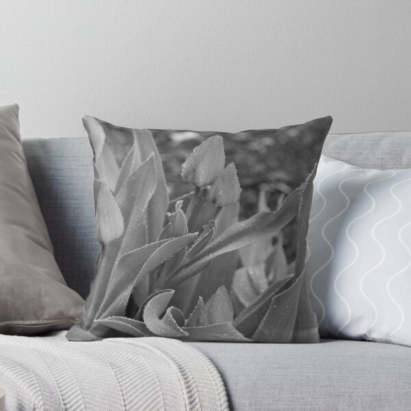 Item preview, Something to Shoot 4 designed and sold by John Linton.