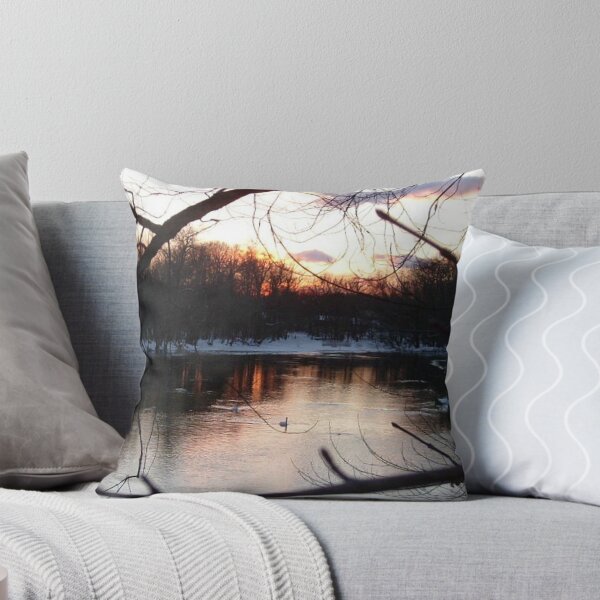 Item preview, Sunset Swans on the Passaic River, Fall 2010, Fairfield NJ designed and sold by Jane Neill-Hancock.