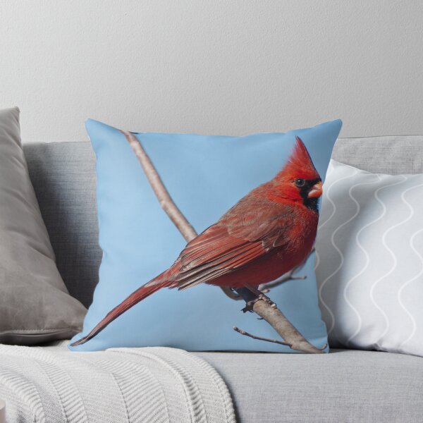 Item preview, Male Cardinal designed and sold by barnsis.