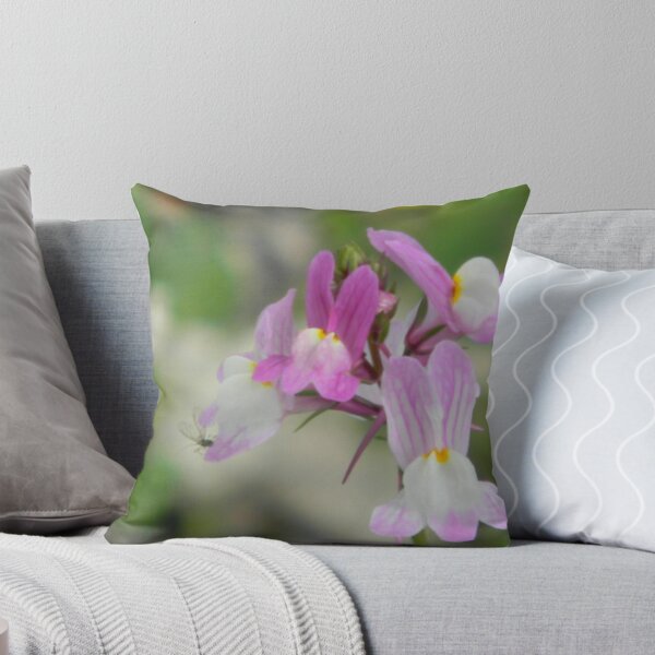 Item preview, Toadflax and...GNAT! NOT YOU AGAIN! designed and sold by Navigator.