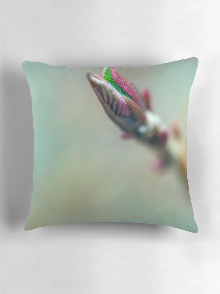 Thumbnail 3 of 4, Pillow, Spring Springing designed and sold by alan shapiro.