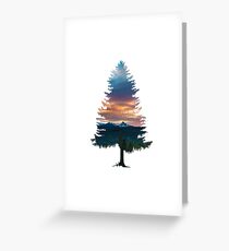 Spruce Tree Greeting Card
