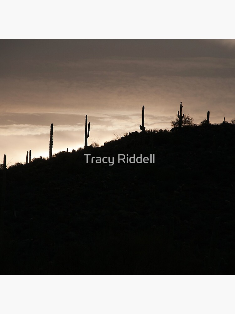 Cacti on the Ridge by taos