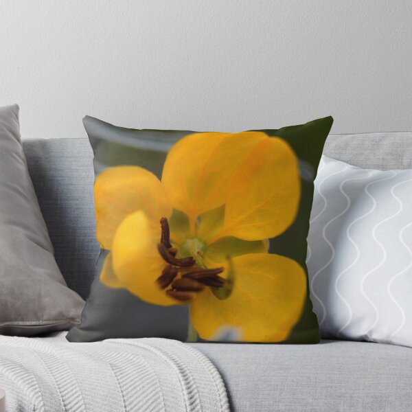 Item preview, Senna artemisioides ssp. sturtii  designed and sold by andrachne.