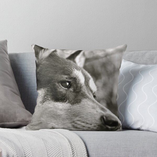 Item preview, On guard designed and sold by Kingstonshots.