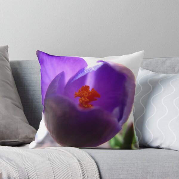 Artikelvorschau, Purple Crocus coming through entworfen und verkauft von MarianBendeth.