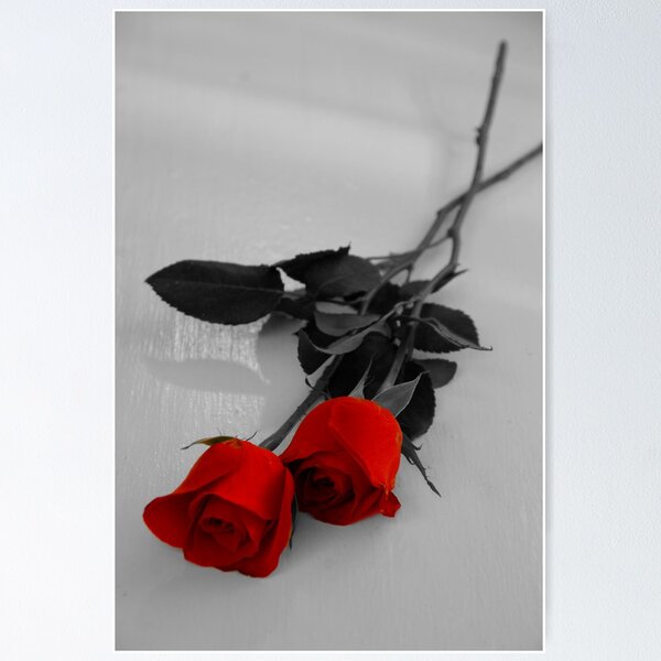 Artikelvorschau, Roses Are Red entworfen und verkauft von Linda Houghton.