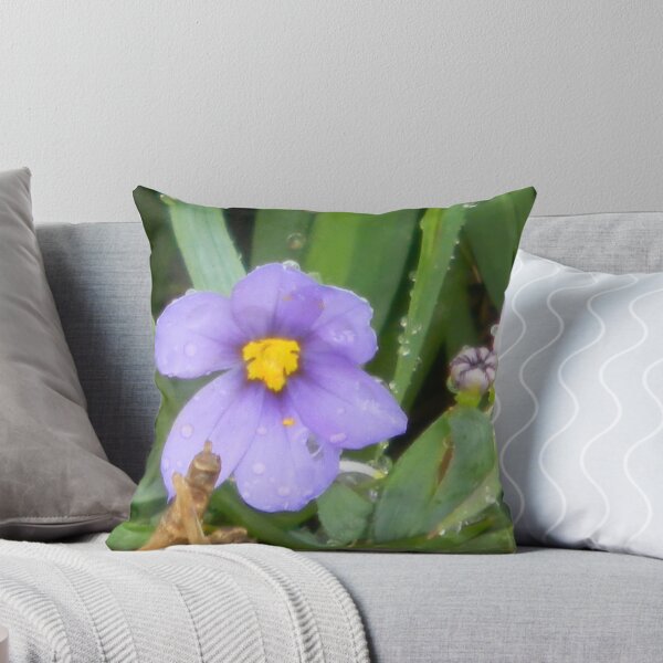 Item preview, Narrow Leaved Blue-eyed Grass, of the Iris Family designed and sold by Navigator.