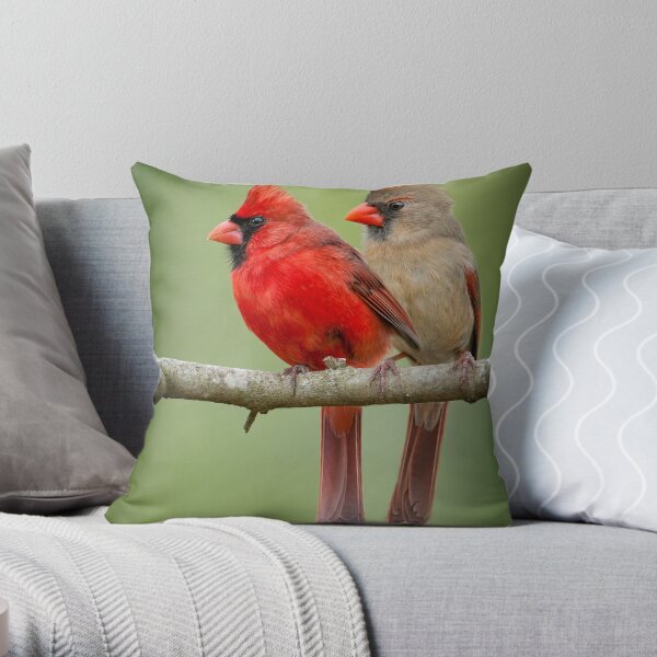 Throw Pillow Cover, Northern Cardinal Male Red Bird Pillow, Cute Pillo –  georgemillerart