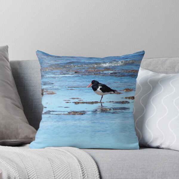 Item preview, Pied Oystercatcher designed and sold by Paul Todd.