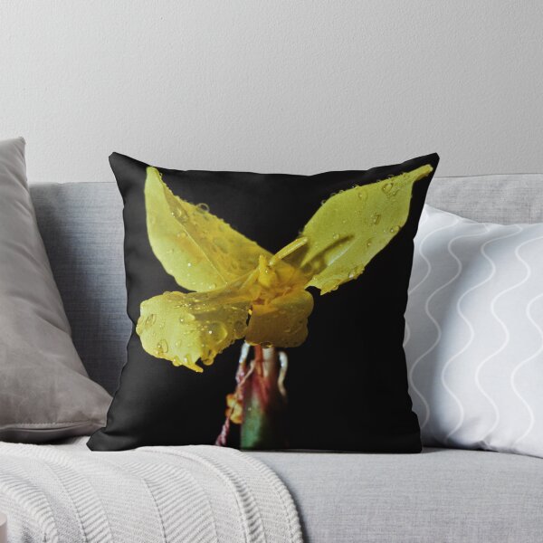 Item preview, Yellow daffodil type Sth Nannup 19820828 0007 designed and sold by Fred Mitchell.