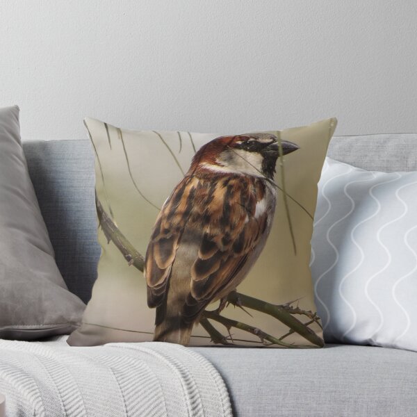 Item preview, House Sparrow (Male~Breeding Plumage) designed and sold by Luck of the Shutter.