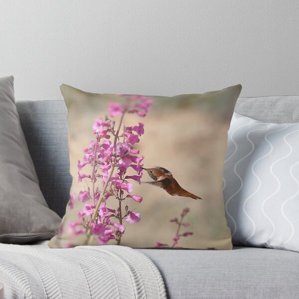 Item preview, My First Rufous this Year 3 designed and sold by Judy Ann  Grant.