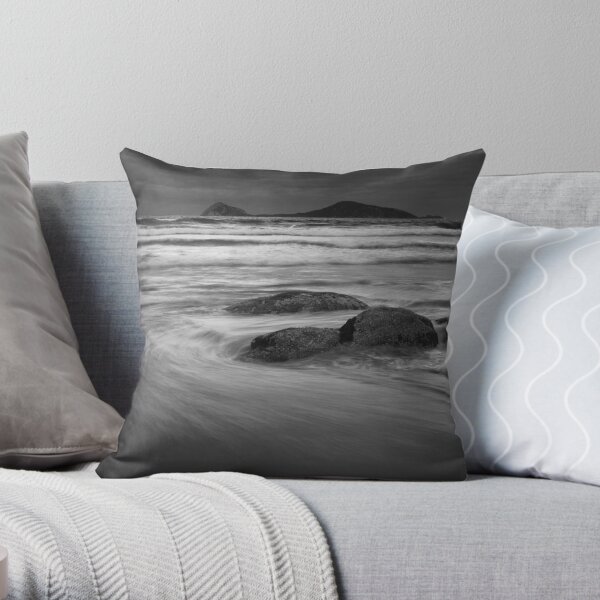 Picnic Bay Throw Pillow