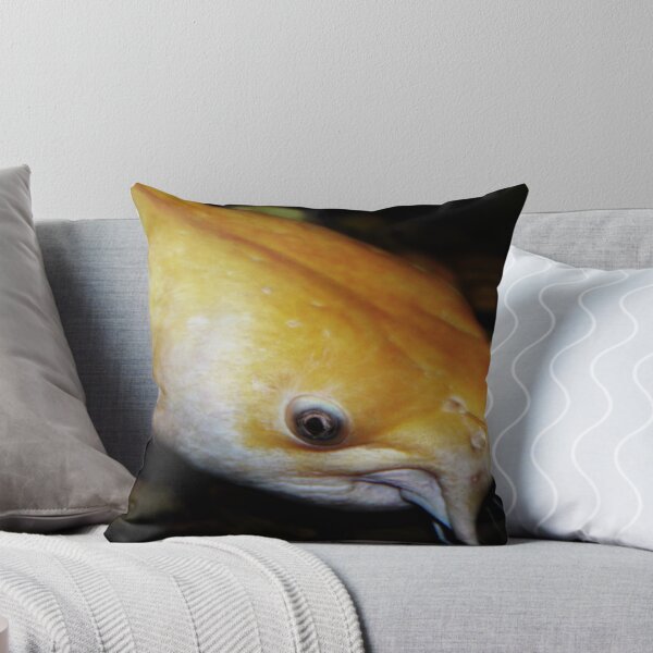 Item preview, Catfish II designed and sold by Ginger  Barritt.