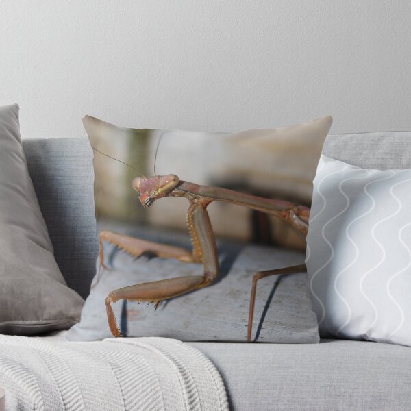 Item preview, Macro mantis designed and sold by Karl David Hill.