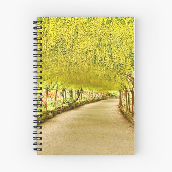 Item preview, LABURNUM ARCH at Bodnant Gardens N.Wales designed and sold by AnnDixon.